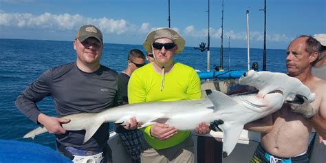 daytona beach shark charters.